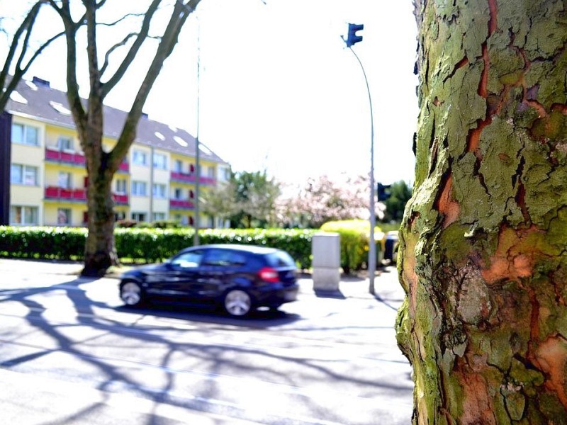 ... in Richtung Westen, vorbei an Mehrfamilienhäusern ... 