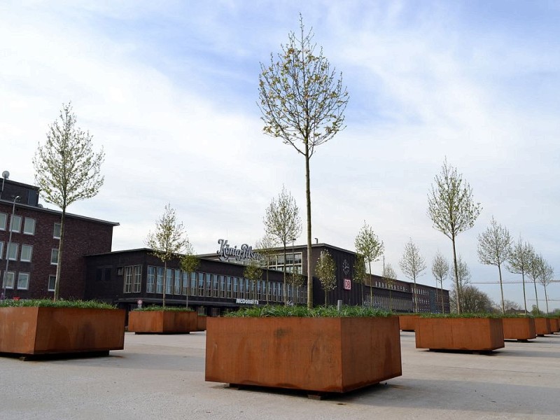 Auf der Bahnhofsplatte wurden im November 2012 21 Magnolienbäume gepflanzt. Sie sollen an die Todesopfer der Loveparade-Katastrophe vom 24. Juli 2010 erinnern.
