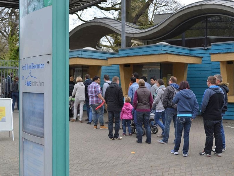 Auch auf der anderen Straßenseite lassen sich interessante Erfahrungen machen: 900.000 Besucher kamen 2012 in den Zoo Duisburg, ...