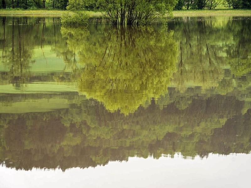 Wegen des anhaltenden Dauerregens sind auch in Nordbayern einige Flüsse und Seen über die Ufer getreten. Im Landkreis Kulmbach wurde dieses Feld überflutet.