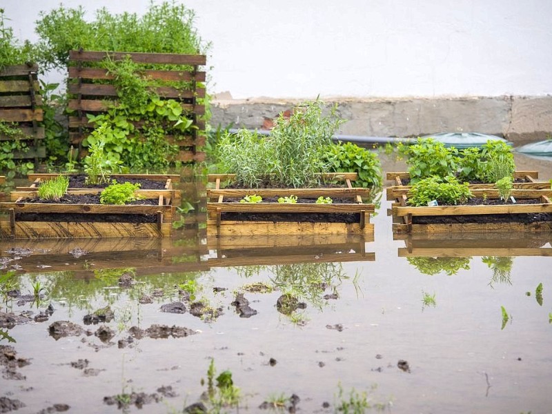Ein Gemüsegarten in Ködnitz im Landkreis Kulmbach in Bayern ist überflutet.