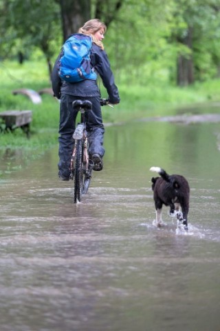 Eine Radfahrerin fährt in Taubach, Thüringen auf einem Radweg, über den das Wasser der über die Ufer getretenen Ilm fließt. An vielen Flüssen steigen die Pegelstände nach Dauerregen.