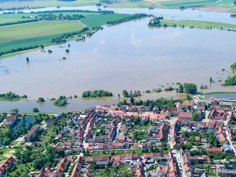 Das Hochwasser der Elbe am Mittwoch im brandenburgischen Mühlberg