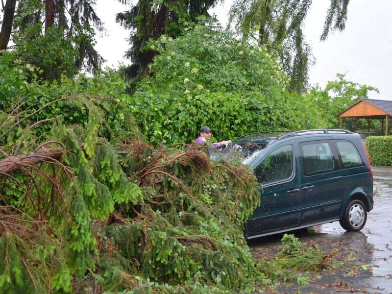 Nach dem Unwetter. Foto: Carmen Fürstenau // IKZ