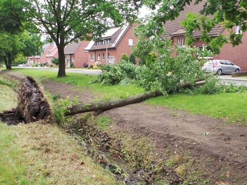 Nicht nur die Wassermassen haben Schäden verursacht, auch die Sturmböen haben Verwüstungen angerichtet. Vor so manch einer Haustür wurden Bäume entwurzelt…