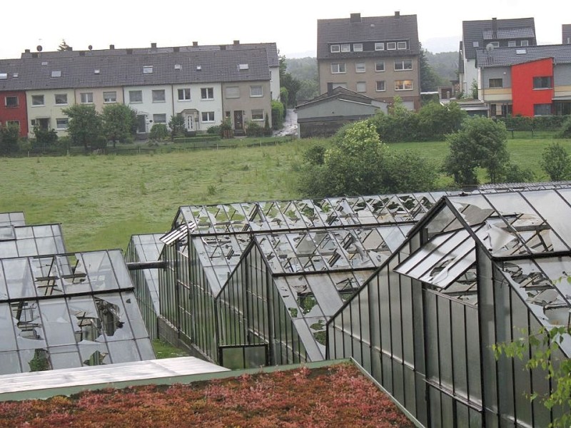 Unwetter in Hagen: Gewächshaus in Boelerheide wird durch Hagel schwer zerstört.