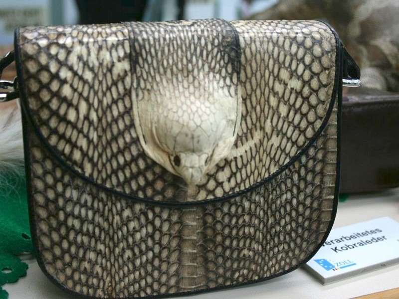 ...oder Handtaschen aus Schildkröten oder Schlangenhaut.