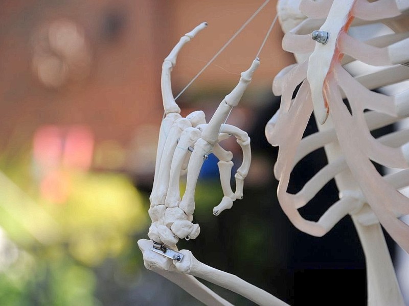 Ein Skelett ist in Wacken aufgestellt, seine Finger sind zum typischen Pommesgabel-Zeichen der Metal-Fans geformt.