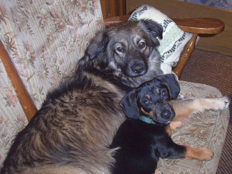 Dana und der kleine Max gehören zur Familie Hengstermann.