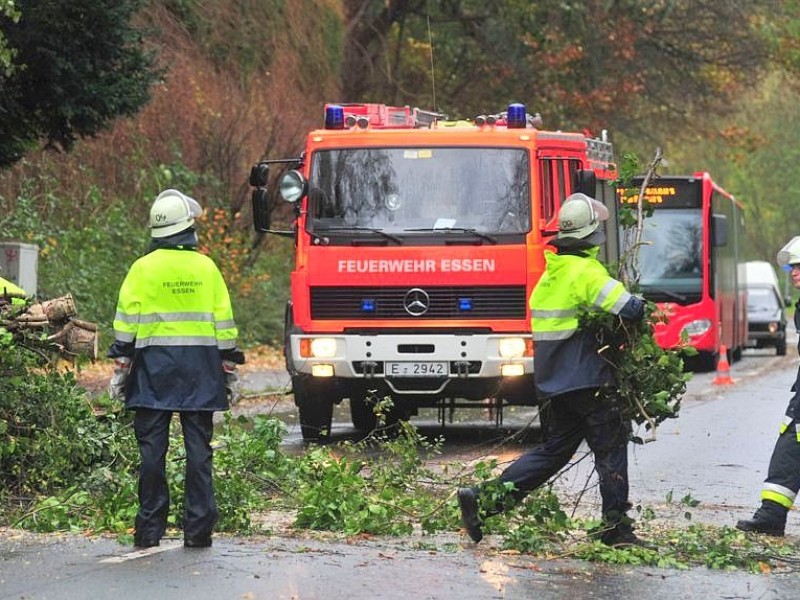 In Essen ist durch den Sturm ein Baum umgestürzt. Auf der Lerchenstraße war der Verkehr behindert.