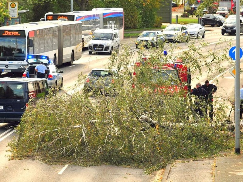 Sturmböen auch in Mönchengladbach: Ein Baum ist nicht nur auf eine Straße gestürzt, ...
