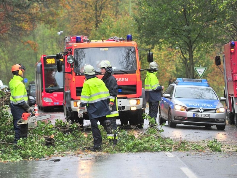 In Essen ist durch den Sturm ein Baum umgestürzt. Auf der Lerchenstraße war der Verkehr behindert.