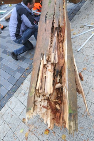 Orkantief Christian wütete auch in Meschede: Hier ist der Maibaum umgestürzt.
