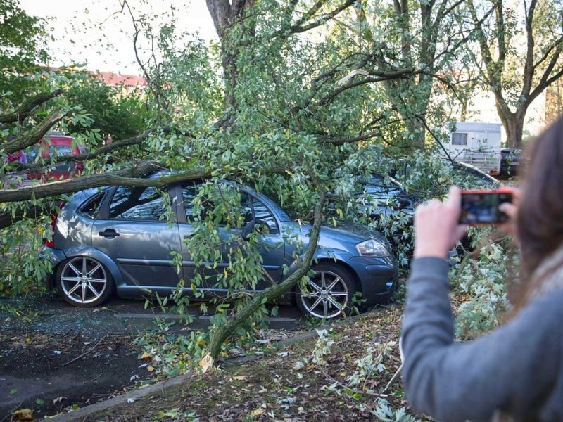 Sturm auch in Hamburg. Wie an vielen Orten stürzten reihenweise Bäume und Astwerk auf Straßen und Autos.