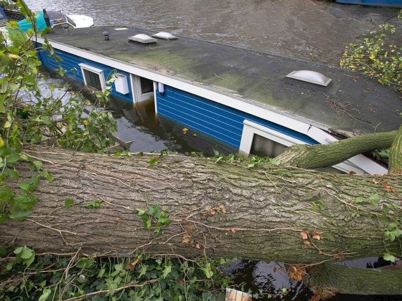 Ein Baum stürze auf ein Hausboot...