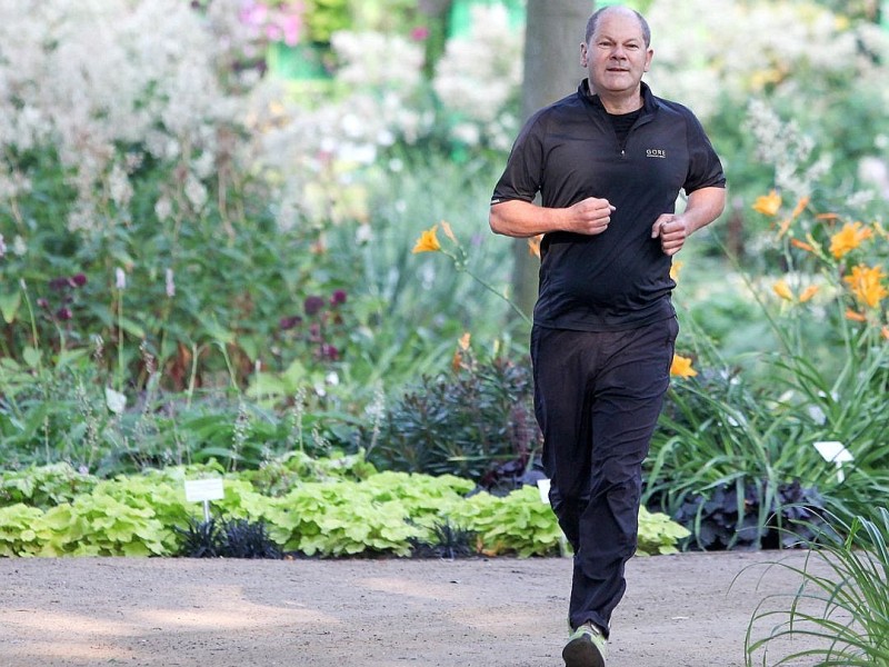 Hamburgs Erster Bürgermeister Olaf Scholz joggt im August 2013 übers Gelände der Internationalen Gartenschau,...