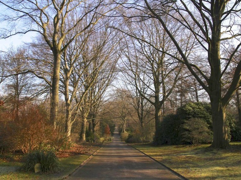 Lange, gerade Achsen prägen den Park.