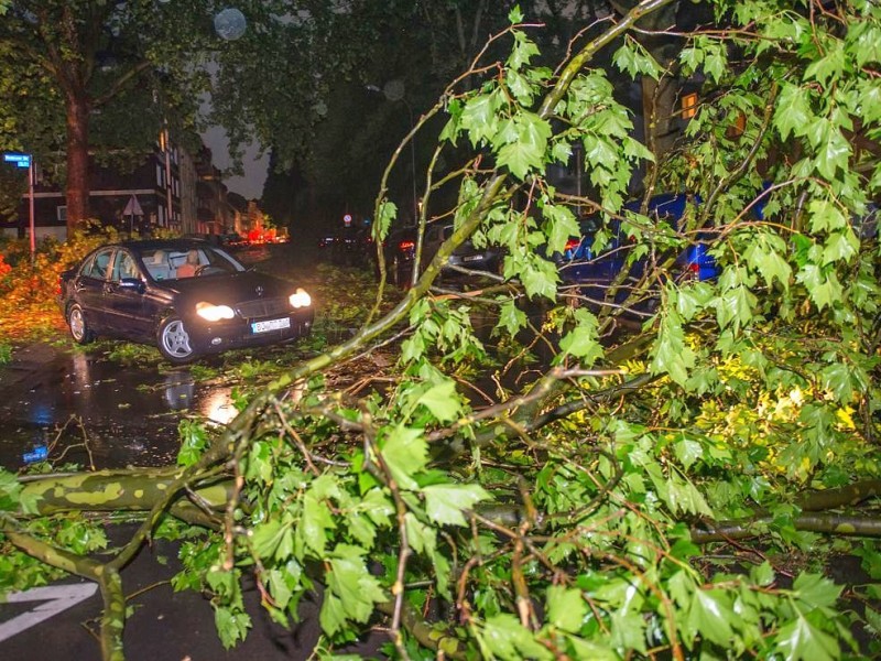 Mehrere Autos sind nach orkanartigen Sturmböen von herabfallenden Ästen und ganzen Bäumen in Bochum beschädigt worden.