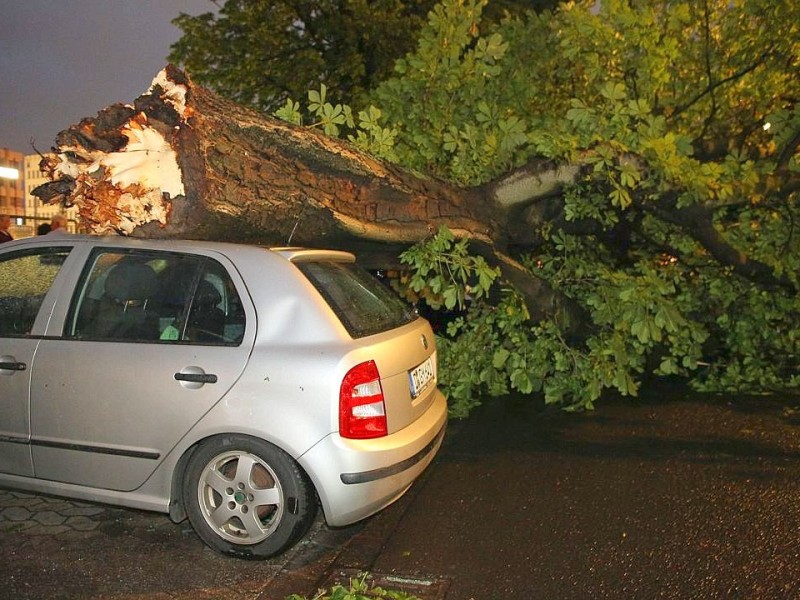Ein Unwetter hat in der Lindenstraße in Düsseldorf Bäume umgestürzt und zahlreiche Autos beschädigt.