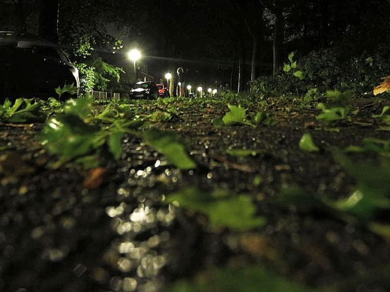 Starke Unwetter über NRW und dem Ruhrgebiet in Oberhausen: An vielen Bäumen sind Äste abgebrochen, die Straßen sind mit abgegrochenen Ästen bedeckt.