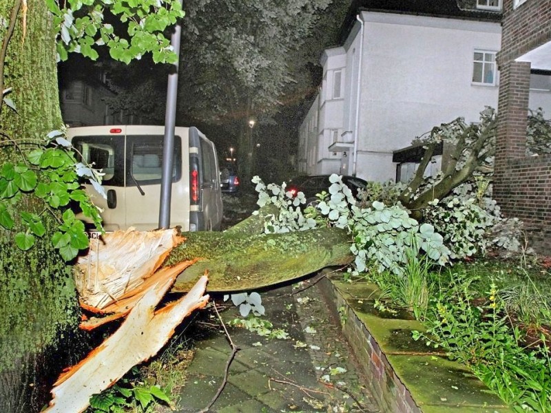 Die Gewitter fegten mit Sturm, Regen und Hagel am Pfingstmontag auch durch Bochum-Langendreer. In nur 30 Minuten richtete das Wetter in vielen Straßen große Schäden an. Die Stockumer Straße Höhe Münsterlinde war wegen abgeknickter Äste nicht mehr passierbar. Dort knickte der Sturm einen halben Baum ab. Wie durch ein Wunder gab es nur einen geringen Sachschaden.