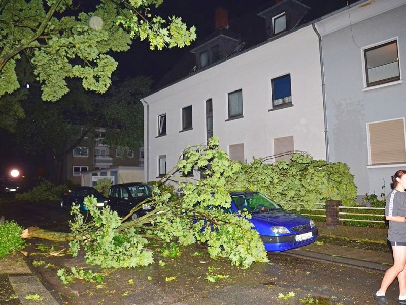 Eine Anwohnerin fotografierte mit dem Smartphone ihr von einem Baum getroffenes Auto.