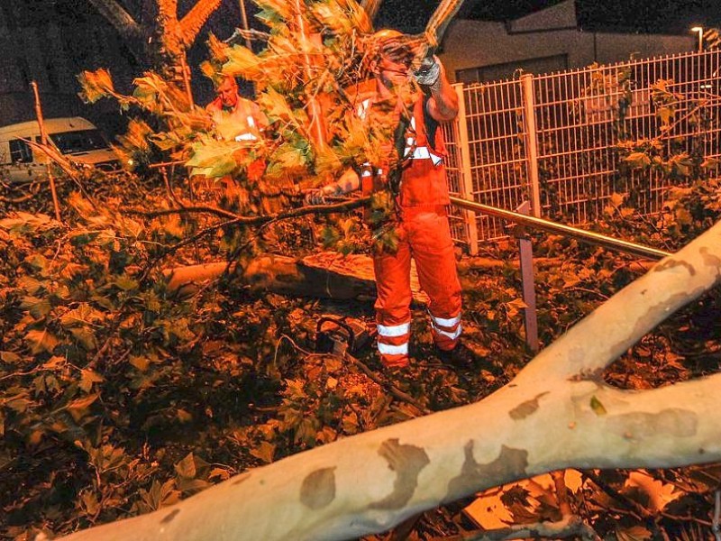 Wie hier in Dortmund mussten die Feuerwehr und andere Hilfsdienste ausrücken, um umgestürzte Bäume von den Straßen zu bergen.