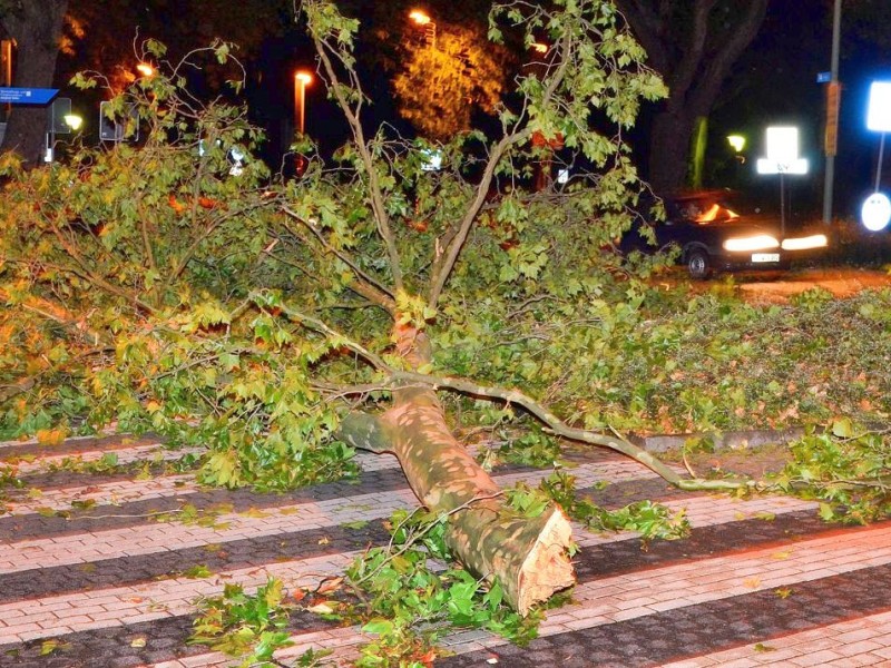 In den späten Abendstunden tobte ein extremes Unwetter über Bochum und hinterließ nach gut 30 Minuten ein totales Chaos. Im Bild: Fußgängerüberweg Kurfürstenstraße / Einmündung Klinikstraße.