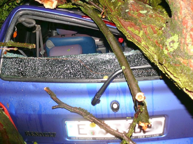 In der Hopfenstraße in Essen wurde dieses parkende Auto unter einem Baum begraben. Dieses Foto schickte uns unser Leser Martin Kosmalski.
