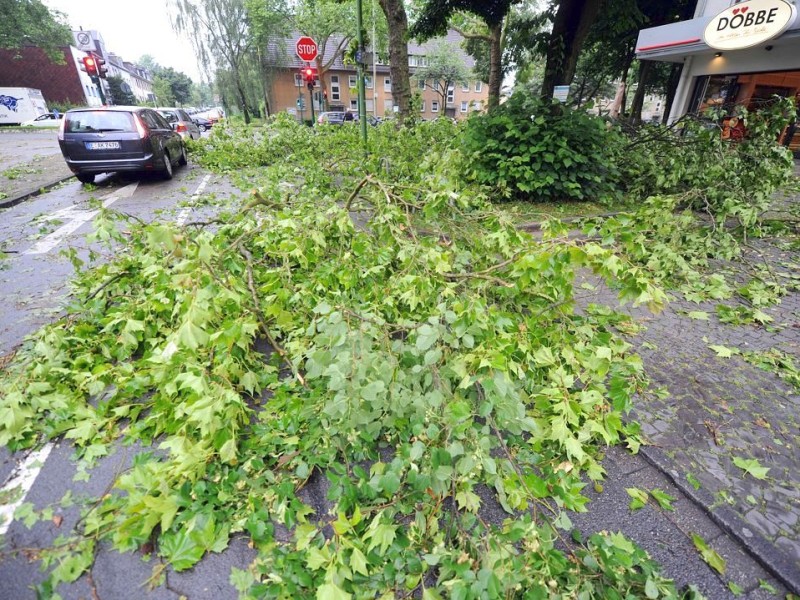 Auch in Essen wurden im ganzen Ruhrgebiet zahlreiche Bäume entwurzelt und...