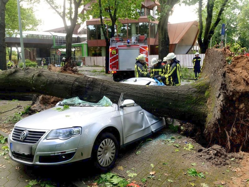 In Duisburg sind überall die Schäden sichtbar. Vor der Sportschule in Wedau zerschmetterte ein riesiger Baum einen Pkw.