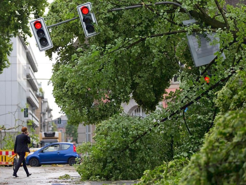 Eine verbogene Ampelanlage neben umgeknickten Bäumen im Hofgarten in Düsseldorf.