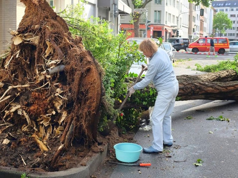 In Düsseldorf hat es Bäume mitsamt der Wurzeln aus dem Boden gerissen.