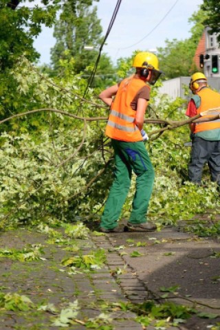 Arbeiter räumten auch in Gelsenkirchen Äste und Bäume von der Straße.