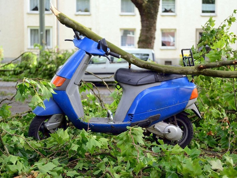 In Gelsenkirchen hatte das Unwetter ebenfalls mehrere Bäume beschädigt.