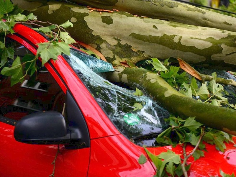 In Gelsenkirchen hat es einen Baum mitten in ein geparktes Auto geworfen.