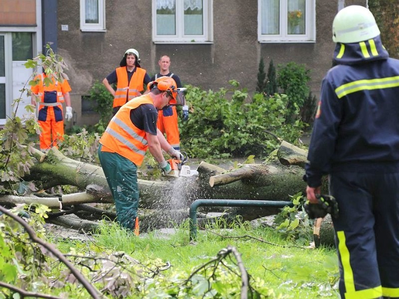 In Recklinghausen haben städtische Mitarbeiter und Feuerwehr auf der Straße liegende Bäume zersägt. Das war am Dienstag eine Aufgabe,...