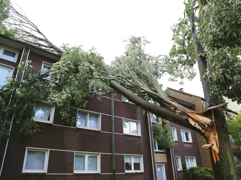 Ein großer Ast liegt auf dem Dach eines Hauses in Recklinghausen.