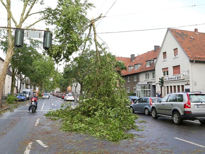 Infarkt des Nahverkehrs: Wie hier in Recklinghausen sind Oberleitungen getroffen worden.