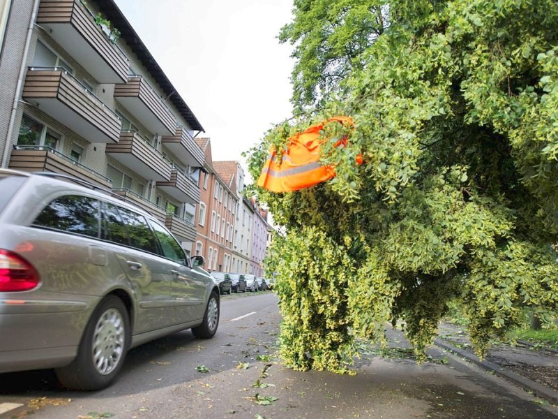 ...Helfer hatten Warnungen improvisiert für alle,...