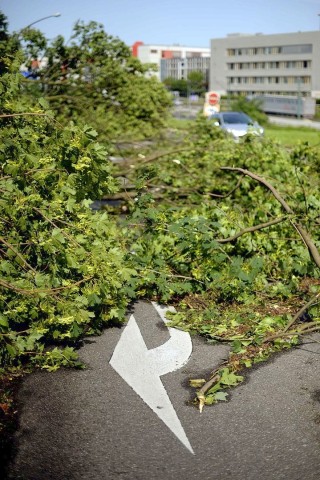 Umgestürzte Bäume auf einer Ausfahrt der A40 in Essen- Holsterhausen.