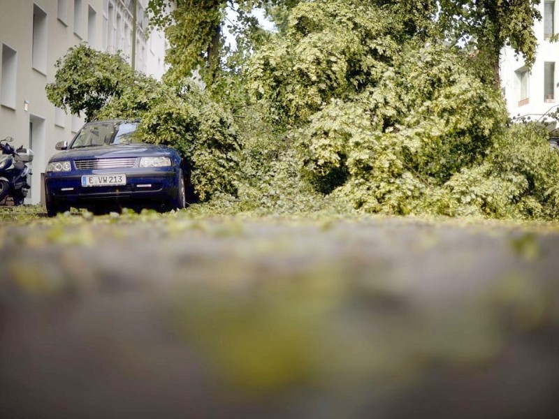 In der Künzelstraße in Essen sind...