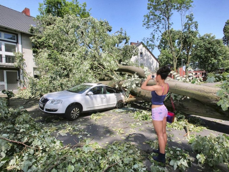 Auch Bochum hat unter dem Unwetter gelitten. Beverly kommt gerade nach Hause und entdeckt, dass ein Baum vor das Wohnzimmerfenster gefallen ist.