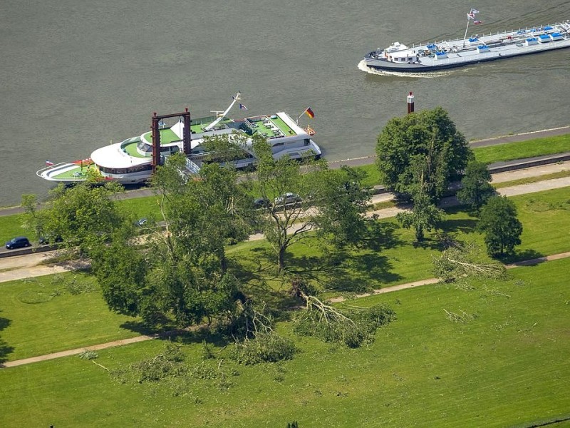 Zwischen der Oberkasseler Brücke und der Rheinkniebrücke wurden an beiden Ufern des Rheins Bäume entwurzelt.