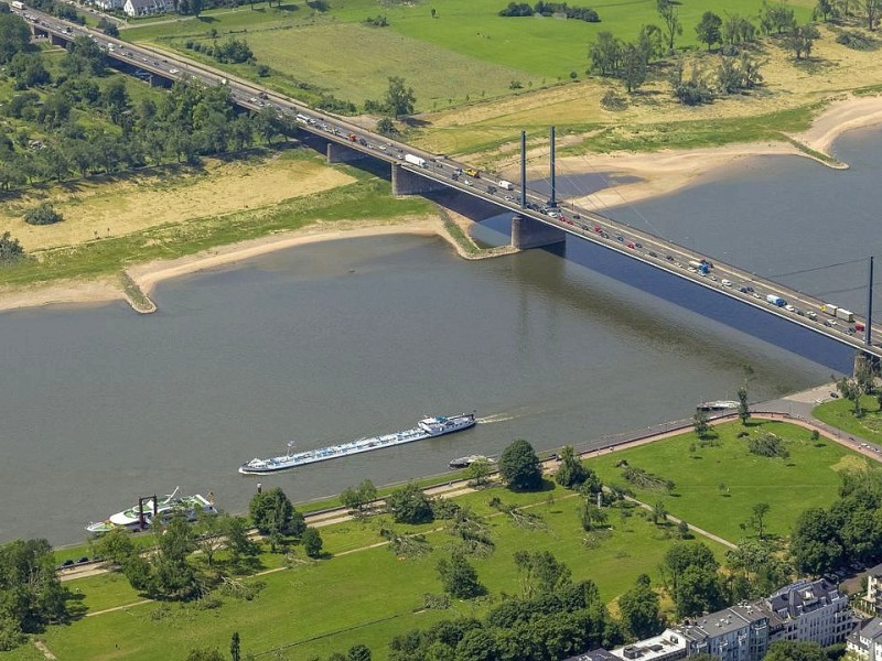 Zwischen der Oberkasseler Brücke und der Rheinkniebrücke wurden an beiden Ufern des Rheins Bäume entwurzelt.