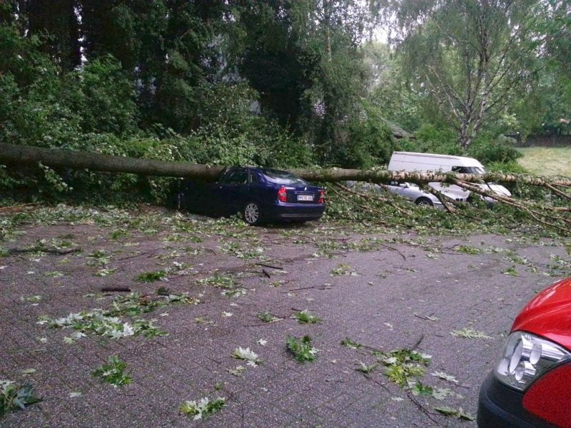 Leserfoto von Elif Kaya: Im Beckerfelde - ein Baum ist auf ein Auto gestürzt und versperrt den Ausgang des Parkplatzes.
