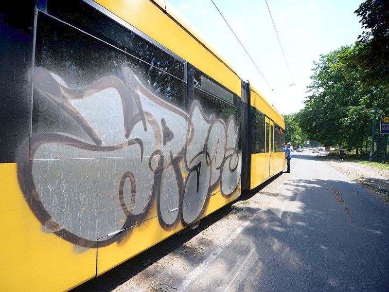 Viele Straßenbahnen der EVAG, hier eine Tram der 106 in Richtung Altenessen an der Haltestelle Sälzerstraße,  müssen bewacht werden. Foto: Kerstin Kokoska