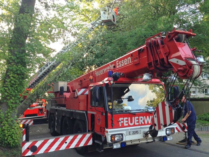 Am Haumannplatz in Rüttenscheid packten am Donnerstag zahlreiche Helfer mit an, um umgestürzte Bäume beiseite zu räumen.