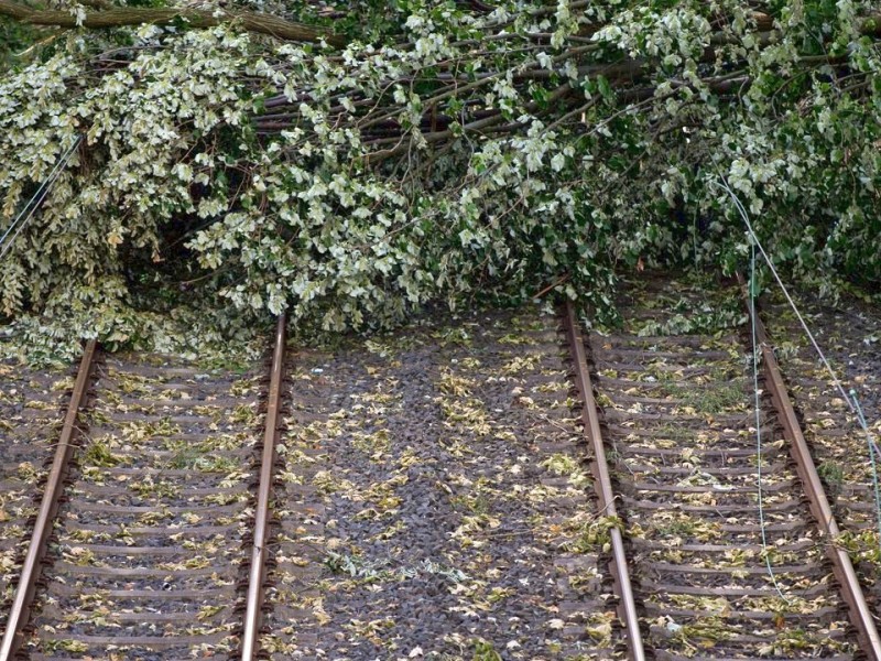 Auf der Strecke der S6 im Essener Süden wurde nach Angaben der Deutschen Bahn die Hälfte der Oberleitungen zerstört. Die S6 wird wochenlang nicht in Essen fahren können.  Foto: Rolf Vennenbernd