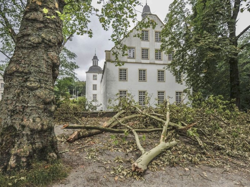 Sturmschäden im Schlosspark Borbeck eine Woche nach dem Sturm.Foto: Knut Vahlensieck